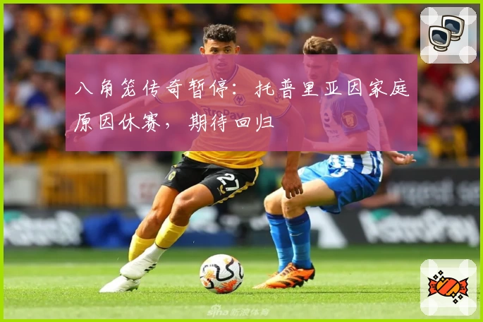 八角笼传奇暂停:托普里亚因家庭原因休赛,期待回归