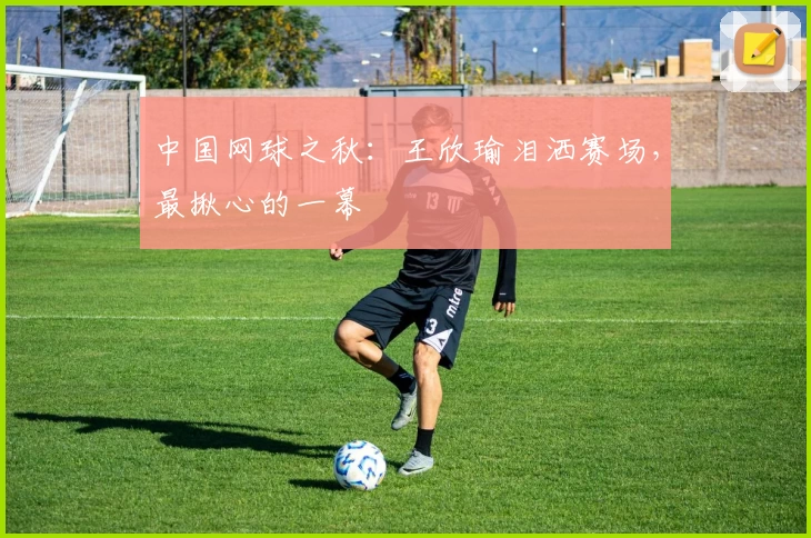 中国网球之秋：王欣瑜泪洒赛场，最揪心的一幕
